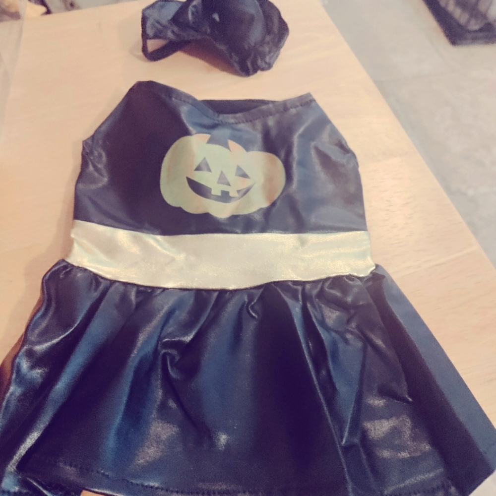 Dog costume